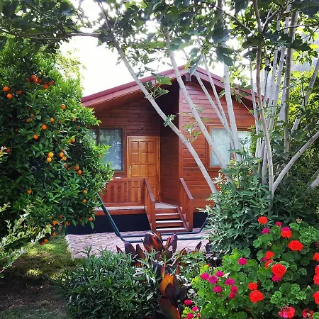 Bed & Breakfast Asya Çıralı