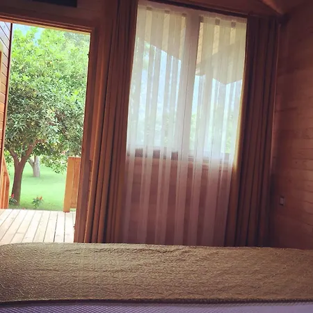 Asya Bed and breakfast Çıralı