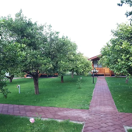 Asya Bed and breakfast