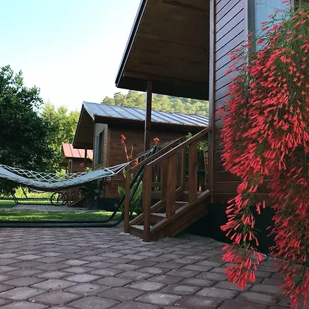 Bed and breakfast Asya Çıralı