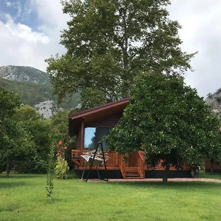 Asya Çıralı