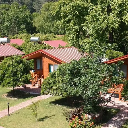 Asya * Çıralı