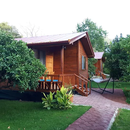 Bed & Breakfast Asya *