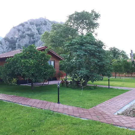 Bed & Breakfast Asya *